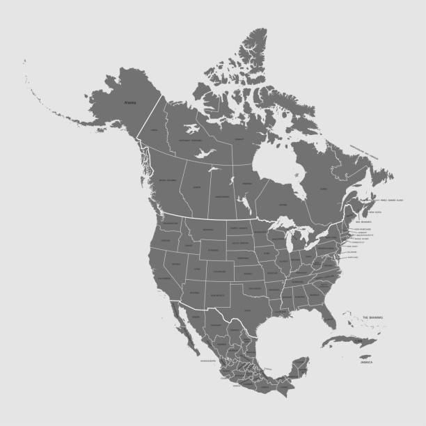 illustrazioni stock, clip art, cartoni animati e icone di tendenza di mappa del nord america - america del nord