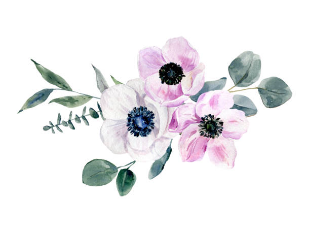 istock Handpainted watercolor flowers set, anemones and eucalyptus bouquet.  Watercolor botanical illustration isolated. 1410008264