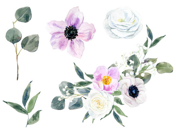 istock Handpainted watercolor flowers set, anemones and eucalyptus bouquet.  Watercolor botanical illustration isolated. 1410008266