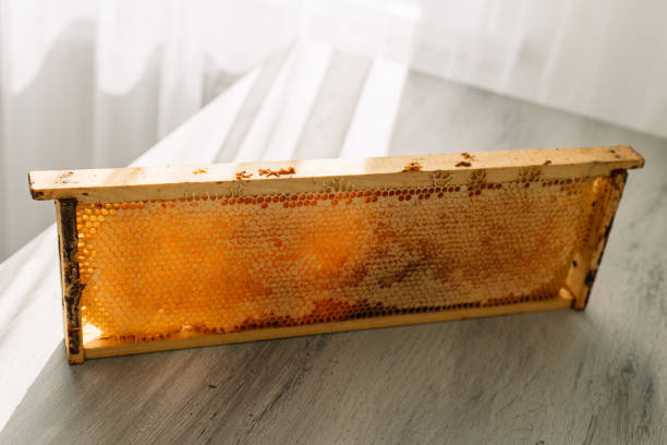 istock Open honeycomb in wooden frame on the table 1410010235