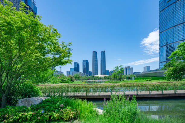 istock Sunny financial city and Bridge 1410015647