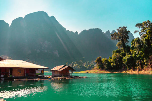 casas de jangadas no lago cheo lan no parque nacional khao sok, tailândia - wooden raft - fotografias e filmes do acervo