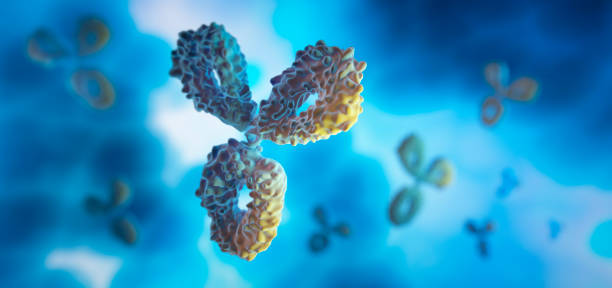 Antibodies- 3D illustration stock photo