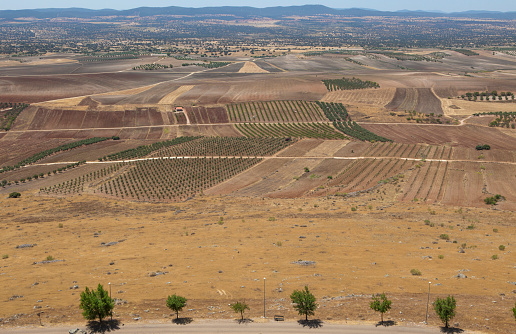 Overview of La Serena district from Magacela Castle, Badajoz, Extremadura, Spain