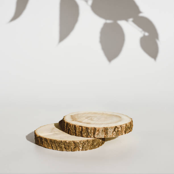 istock Empty round wooden podium for product presentation with plant shadows 1410019463