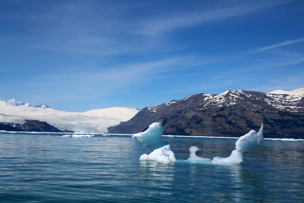 アイシー ベイの氷山、アラスカ、アメリカ合衆国 - glacier alaska iceberg melting ストックフォトと画像