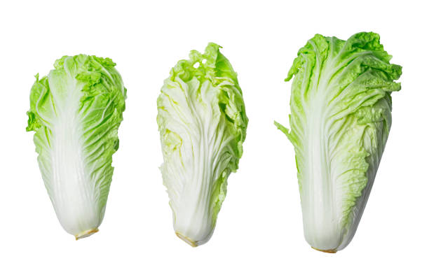 istock Vegetable food cabbage Chinese isolated on white table. 1410028354