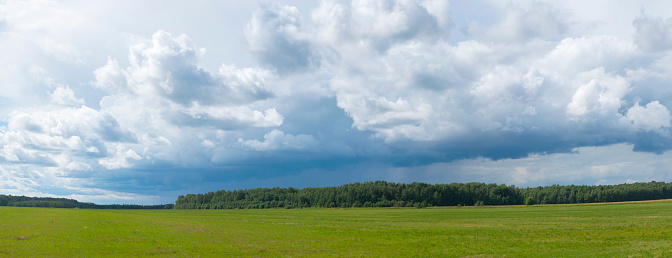Summer landscape. Field, sky with clouds, forest