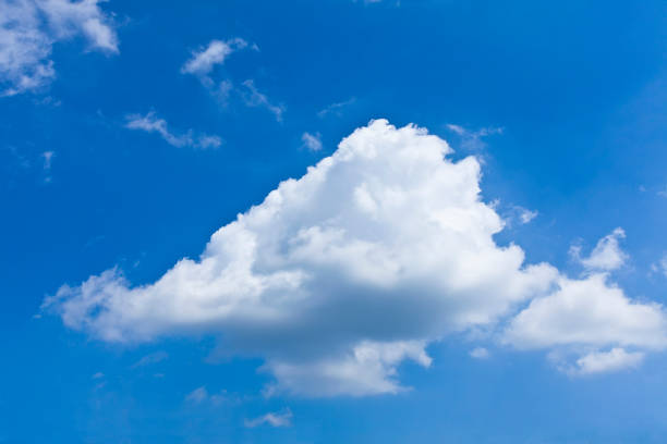 letni krajobraz - cumulus cloud lake water forest zdjęcia i obrazy z banku zdjęć