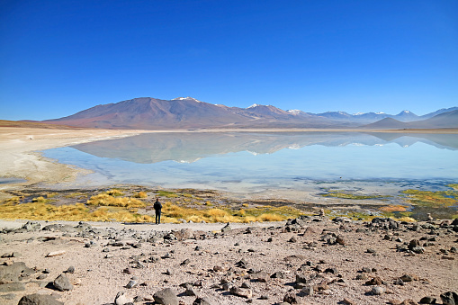 Laguna Blanca or 'The White Lake' in Eduardo Avaroa Andean Fauna National Reserve, Potosi Department of Bolivia, South America