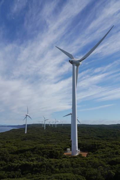 istock Wind turbines along a coast line 1410051838