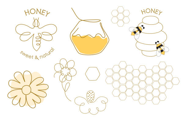 Single continuous line drawing icons flowers, honey bee, bee jar, beehive in one continuous line. Minimalist linear sketch. Vector illustration One line honey bee logo set. Single continuous line drawing icons flowers, honey bee, bee jar, beehive honeycomb in one continuous line. Minimalist linear sketch isolated element. Vector illustration. honeycombs clip art stock illustrations