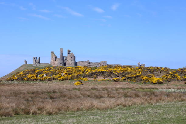 istock Dunstanburgh Castle Ruins, Northumberland. 1410055318