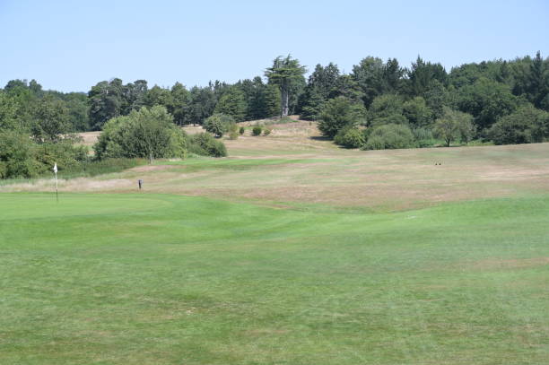istock Fairway of a golf course in the UK. 1410061146
