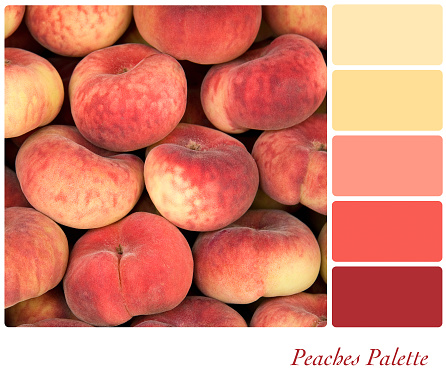 Peaches background colour palette with complimentary swatches.