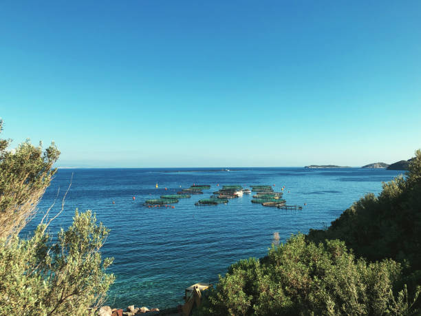 istock Fish farm view from land at Denizkoy Dikili Izmir 1410068763