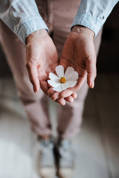 istock single white flower in hands closeup on background. 1410071857