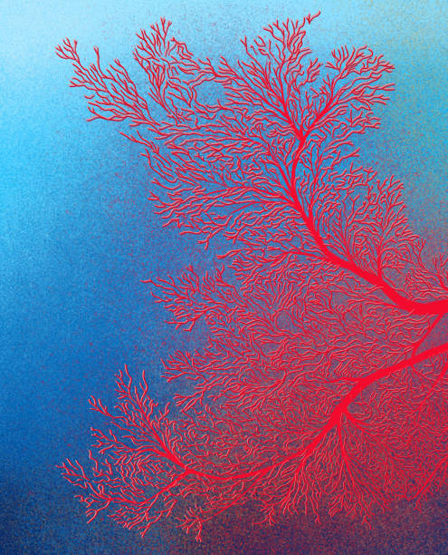 Corals on the seabed. vector art illustration