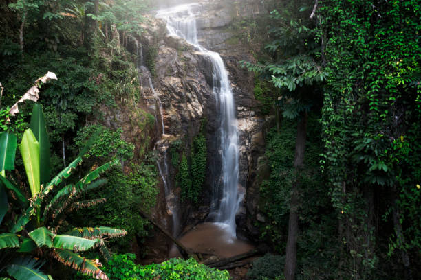istock Aerial view Doi Suthep waterfall in Chiangmai, Thailand. 1410075936