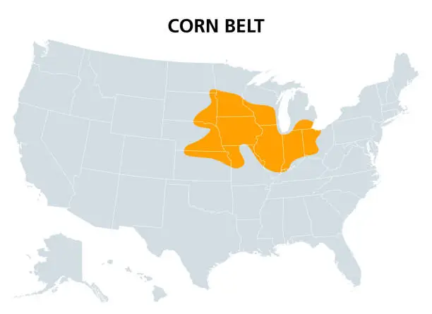Vector illustration of Corn Belt of the United States, region with maize as dominant crop, map