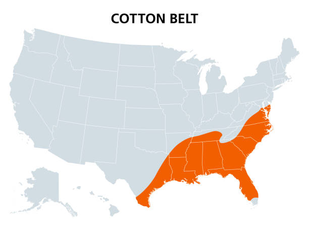 Cotton Belt of United States, region where cotton was the dominant crop, map Cotton Belt of the United States, political map. Region of the American South, from Delaware to East Texas, where cotton was the predominant cash crop from the late 18th century into the 20th century. slave plantation stock illustrations