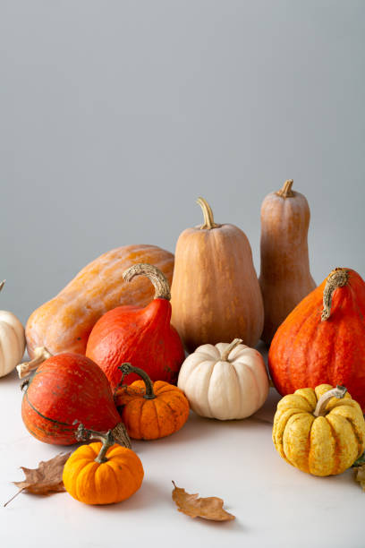 istock Autumn concept background with pumpkins set and copy space 1410084762