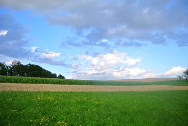 istock Austrian landscape in the middle of summer 1410085044