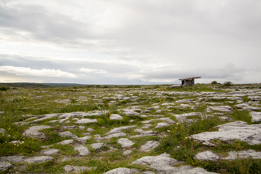 Rocky landscape with Poulnabrone Dolmen in the background