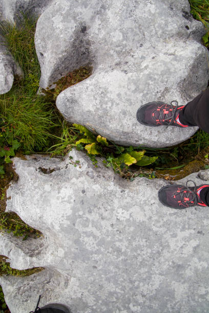 istock Burren National Park in Ireland 1410088352