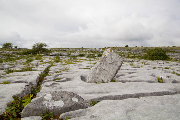 Rocky ground in Burren National Park in Ireland