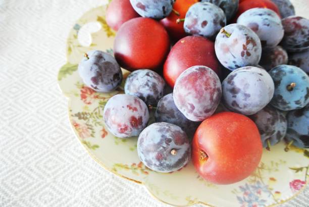 istock Plums and nectarines on the plate with flowers. 1410088811
