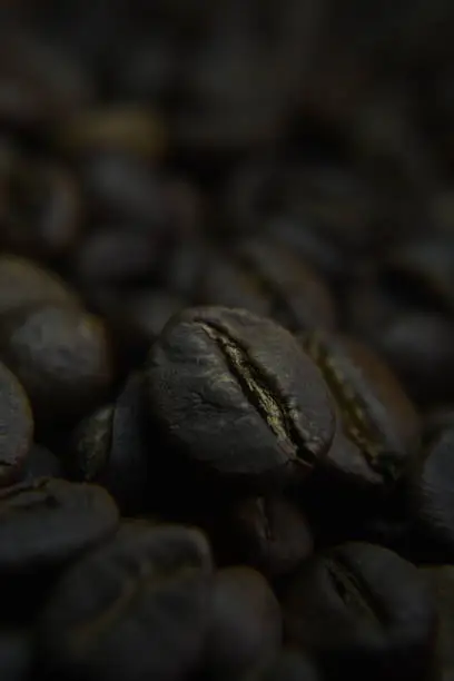 Macro shot of a coffee bean in moody dark style photo