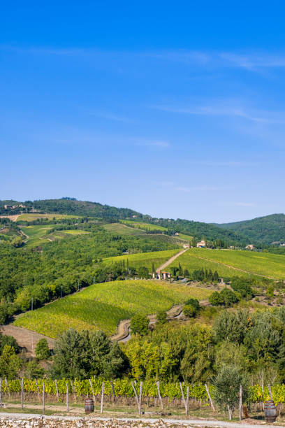 istock Chianti Region - Tuscany 1410090362