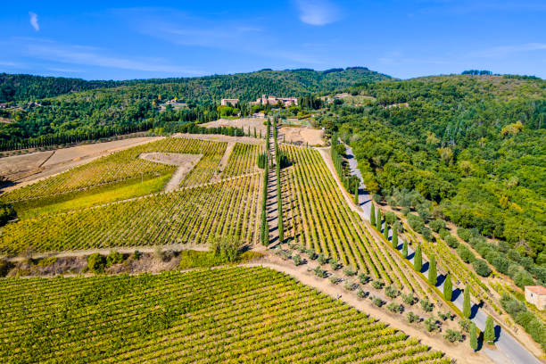 istock Chianti Region - Tuscany 1410090377
