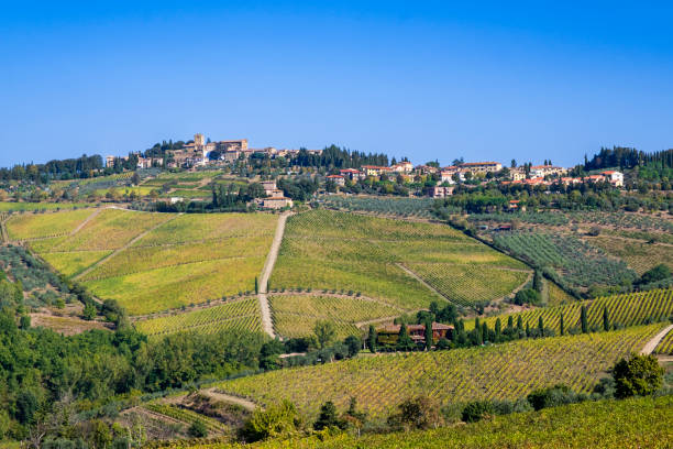 istock Chianti Region - Tuscany 1410090610