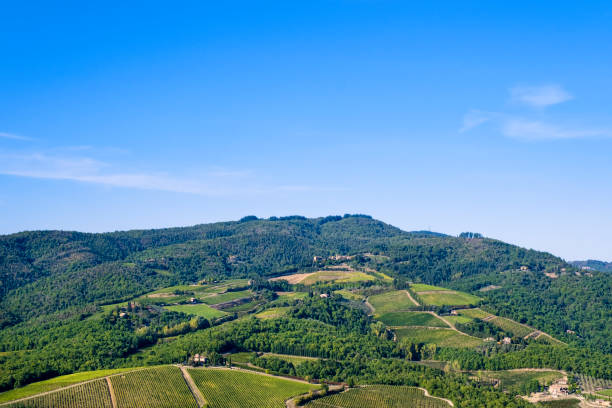 istock Chianti Region - Tuscany 1410090758