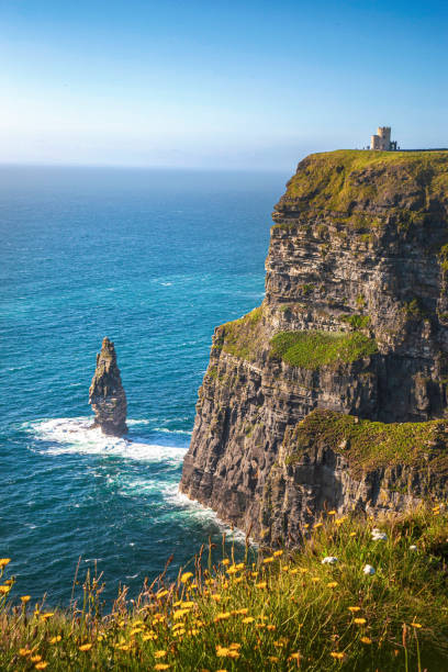 les falaises de moher - republic of ireland cliffs of moher landscape cliff photos et images de collection