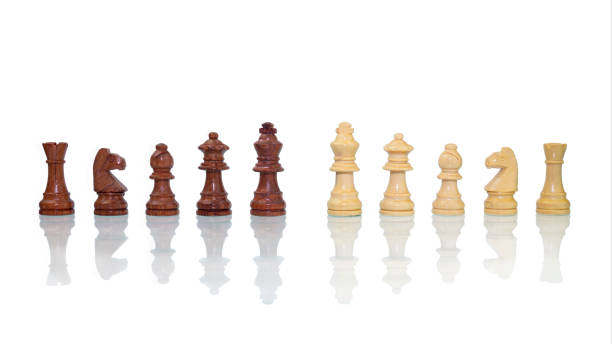 istock wood chess pieces isolated on a white background 1410093209