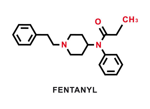 Fentanyl chemical formula. Fentanyl chemical molecular structure. Vector illustration Fentanyl chemical formula. Fentanyl chemical molecular structure isolated on white background. Vector illustration fentanyl stock illustrations