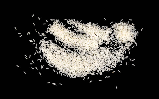 istock A pile of white uncooked rice grains. Isolated on black background. 1410096746