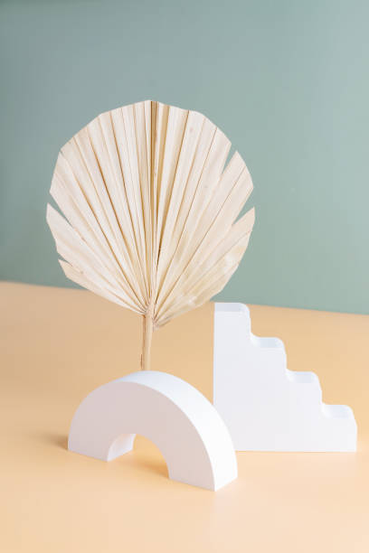 istock Podium with dry palm branches for product presentation. Abstract minimal geometrical form on beige background. Showcase with soft shadow. Scene, display. 1410096796
