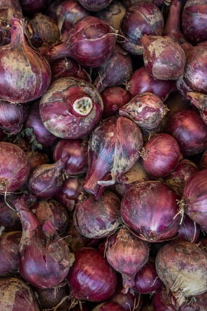 istock red onion full frame top view on fresh organic harvested onions stack bunch pile 1410097058