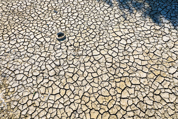 Dried earth after a long period without rain.