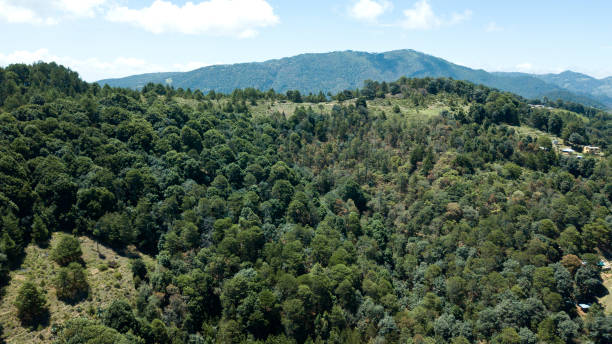 istock landscape of the sierra 1410099242