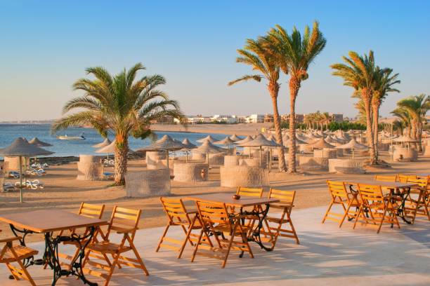 istock Idylic beach with palms and sun umbrelas, Red Sea, Egypt 1410100235