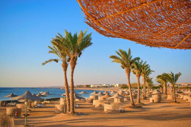 идиллический пляж с пальмами и солнечными умбрелами, красное море, египет - hurghada стоковые фото и изображения