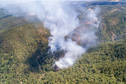Aerial view of Wildfire on mountain forest, fire on Divcibare, drone view, Serbia