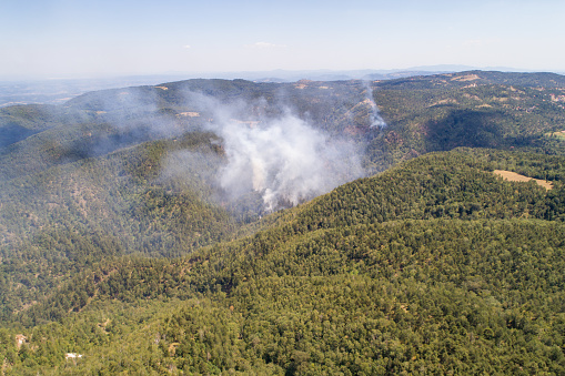 Aerial view of Wildfire on mountain forest, fire on Divcibare, drone view, Serbia