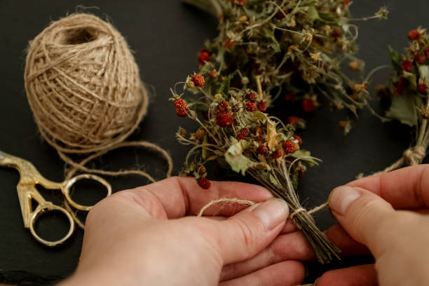 istock women's hands tie dry strawberry twigs with berries in small bundle with twine 1410101155