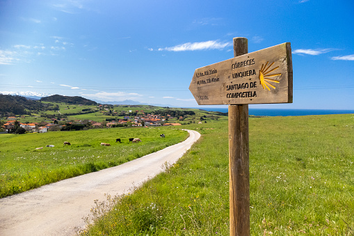 Wooden milestone indicating  route of the Camino de Santiago.